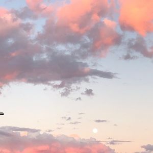 Meet your Posher, Steve